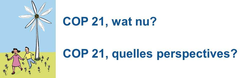 Débat COP quelles perspectives