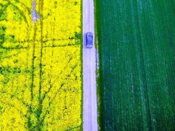 « L'Or vert ». Les dessous des agrocarburants.